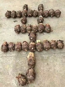 ����������